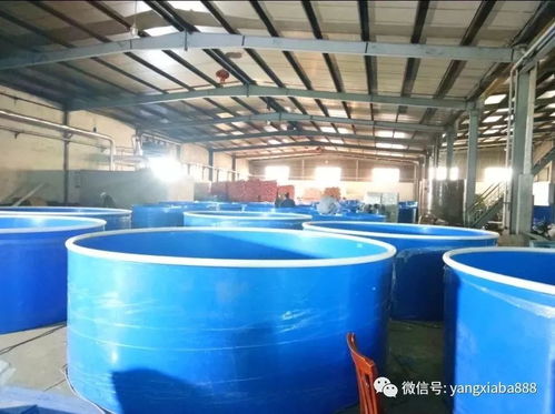 高大上 浙江的工厂化养殖,鱼虾增产之利器