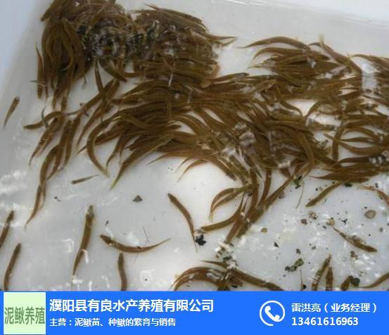  濮阳县有良水产养殖 产品列表 农业 03  养殖业 03